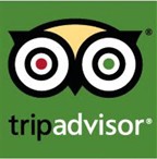 Trip Advisor Logo